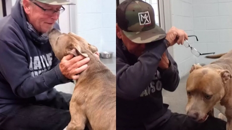Heartwarming the dog found his dad after 200 days apart
