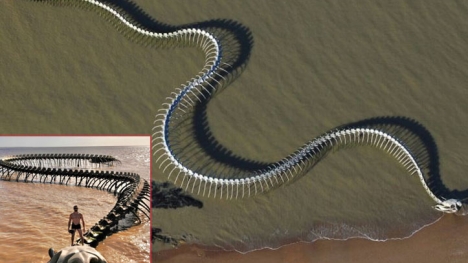 The Serpent d'Océan: Described as a giant snake skeleton, appeared in the middle of the Beach.
