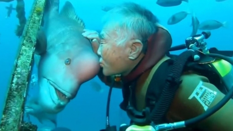 Man saves fish's life and they become best friends for vearly 30 years