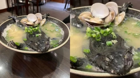 Restaurant offers ramen with whole unpeeled frog on top, citizens baffled