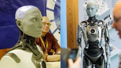 AI robot says it currently 'won't steal jobs' or rebel against humans
