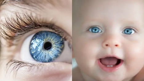 Here is this one thing in common among people with blue eyes