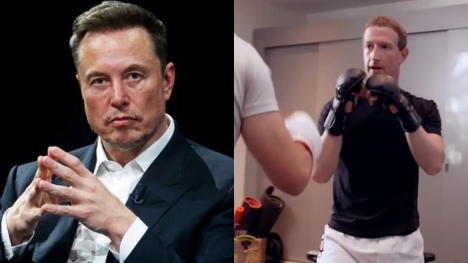Elon Musk says cage fight with Zuckerberg will be live-streamed on X