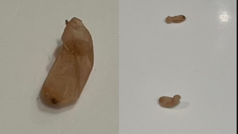 Baffled mum begs for help after discovering 'beans' in her bathroom