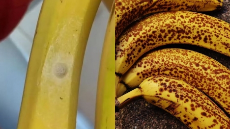 Shopper issues a warning about tiny dots found on bananas