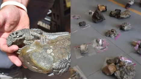 Four charged with stealing $1M worth of dinosaur bones and shipping them to China
