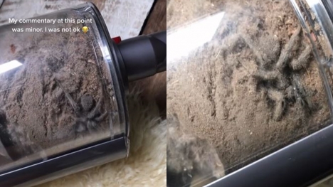 Woman unable to sleep in her room for three days after looking in her vacuum cleaner
