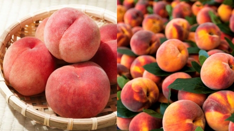People are just discovering what the fuzzy stuff that grows on peaches actually is