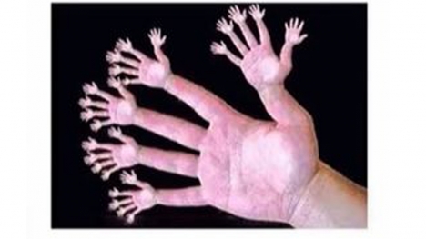 Viewers baffled by a  'Freaky' illusion: How many fingers can YOU see in this picture ? 