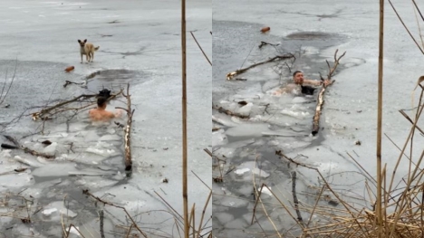 Brave man leaps into freezing lake to rescue trapped dog 