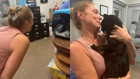 Woman breaks down in tears of happiness after cat missing for 10 years suddenly returns home