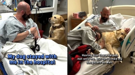 Loyal dog refuses to leave owner facing genetic challenges