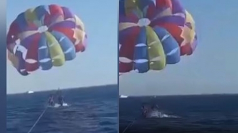 Camera captures moment shark leaps from ocean and attacks paraglider