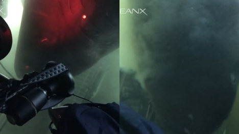 Divers stunned after spotting massive deep-sea shark checking out their submarine