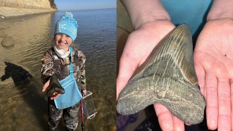 Nine-year-old spotted rare 15-million-year-old shark tooth