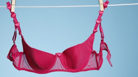 People stunned after knowing the reason why there's bows on the front of bras