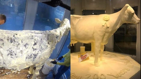 People lost their minds after realizing Iowa State Fair butter cow was not completely made of butter