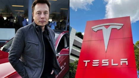 Elon Musk cuts 14,000 jobs amid falling electric car sales 