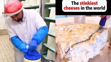 People vow never to eat blue cheese again after discovering how it's made 