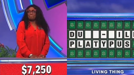 Wheel of Fortune contestant  loses  over $7,000 due to major slip-up