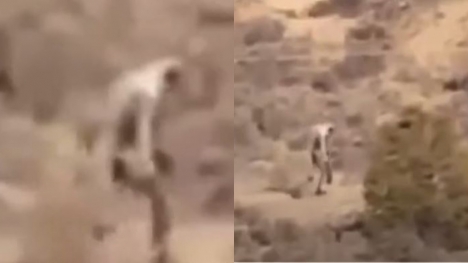 Mysterious 'man-like creature' was spotted roaming through the desert