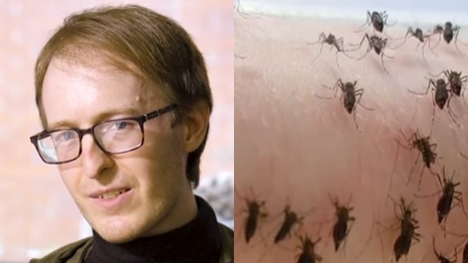 Man intentionally gets bitten by thousands of mosquitoe for scientific research