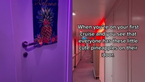 Passengers stunned after discovering the hidden meaning behind upside-down pineapple signs on cruise ships