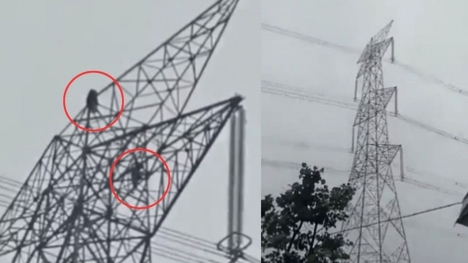 Love's height: Girl's 80 foot climb up electricity tower post-argument