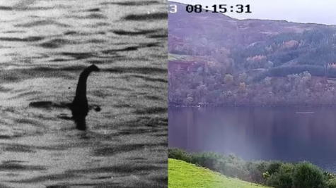 Photographer sparks debate after revealing captivating pictures of 'Loch Ness Monster' 