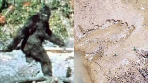 Expert discovered world's largest 'monster' in the depths of Amazon river