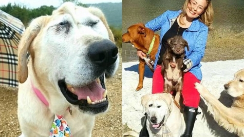 Dog with facial deformity has new life after 5 years being neglected