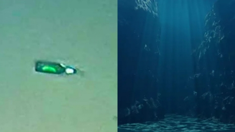 People were stunned after spotting beer bottle at the deepest point of the ocean