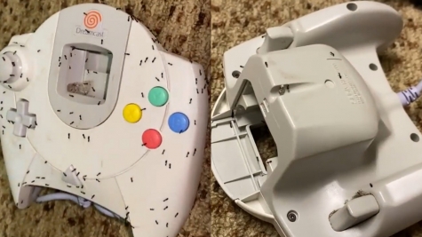  Man baffled after spotting what is living inside his gaming controller