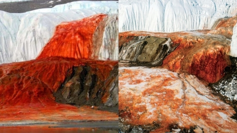 Scientists finally solved 100-year-old mystery of Antarctica's Blood Falls