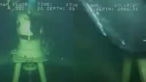 Scientists discover deep-sea creature during gas line inspection 3,000ft underwater