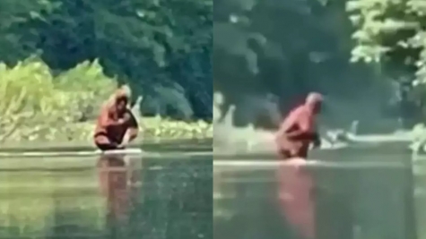 People baffled as the 'Bigfoot' sighting caught on a viral video