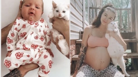 A pregnant woman who had rescued a stray cat discovered they were both expecting babies