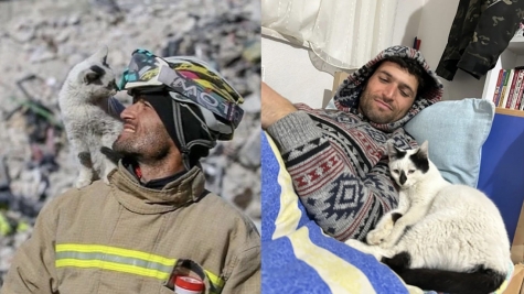 Fireman adopts cat he rescued from the rubble caused by Turkey's earthquake