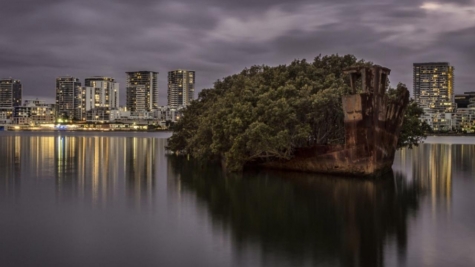 A 112-year-old SS Ayrfield turns into a beautiful floating forest