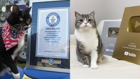 Man breaks Guinness World Record after identifying most Taylor Swift songs in one minute