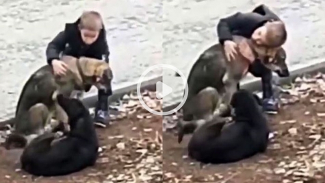 Sweet child hugs abandoned dogs when he thought no one was looking