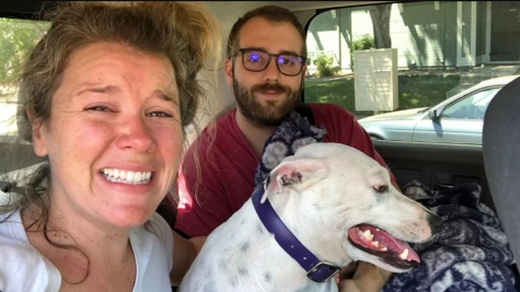 Couple reunites with lost dog who jumped from car window during accident