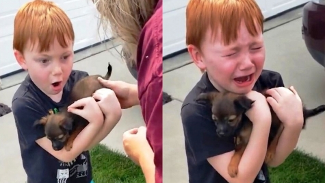 Heartwarming firefighter reunited with the adorable puppy he rescued