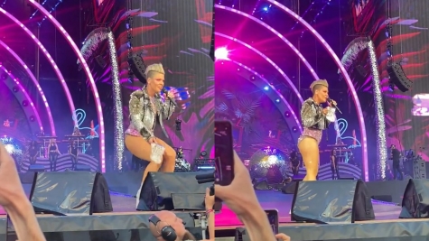Singer Pink stunned as fan throws mother's ashes on-stage during her performance in London