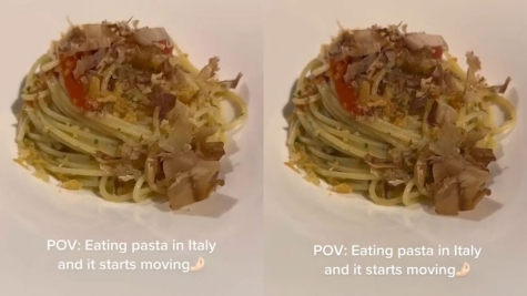 Video of 'moving' pasta dish baffles people