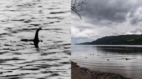 Photographer sparks debate after revealing captivating pictures of 'Loch Ness Monster' 