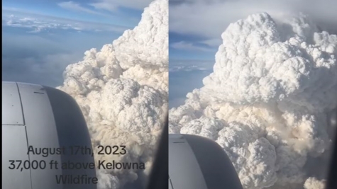 VIDEO: Plane shows what wildfires look like 30,000ft in the air