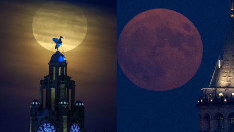 UFO was spotted flying across the moon leaving an astronomer extremely baffled