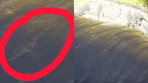 Photographer sparks debate after revealing captivating pictures of 'Loch Ness Monster' 