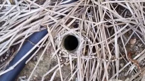 Man stunned by  discovering sinister truth behind a small hole  in his back garden